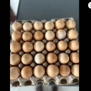 Fresh Farm Brown Eggs – Tray of 30